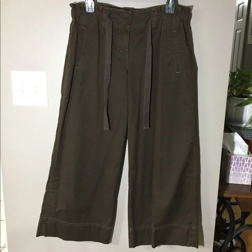 Ann Taylor LOFT Brown Casual Gaucho Drawstring Waist Pants 4